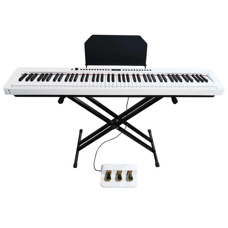 Pianoforte Digitale Portatile C-811: Libertà, Tecnologia e Performance a Portata di Mano